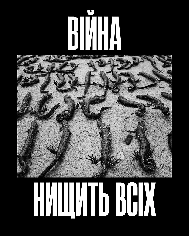 Чотири роки повномасштабної війни, яку росія розпочала проти України.І чотири роки спільного страху — для людей і тварин.Пере... - Кожна тварина on we.ua