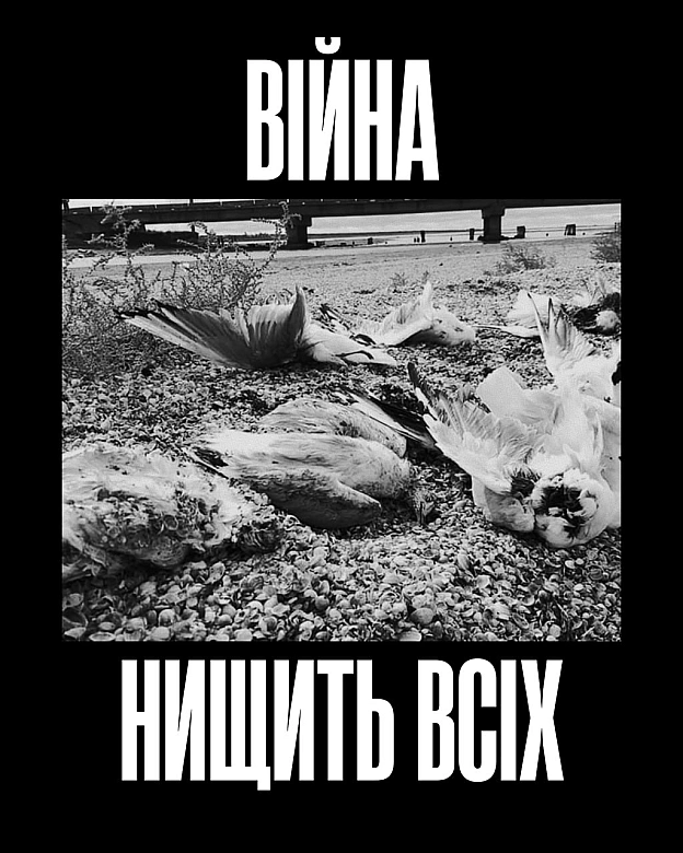 Чотири роки повномасштабної війни, яку росія розпочала проти України.І чотири роки спільного страху — для людей і тварин.Пере... - Кожна тварина on we.ua
