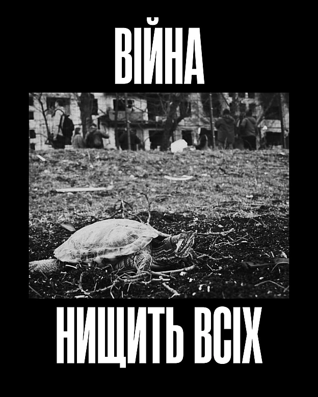 Чотири роки повномасштабної війни, яку росія розпочала проти України.І чотири роки спільного страху — для людей і тварин.Пере... - Кожна тварина on we.ua