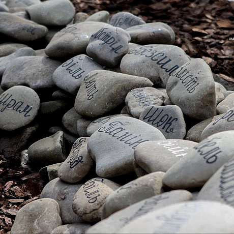 Репортер інформує on we.ua