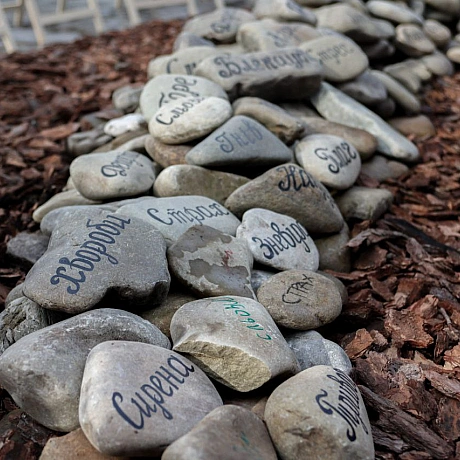 Репортер інформує on we.ua