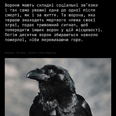 Горе — це не лише людський досвід.У різних видів тварин науковці спостерігають поведінку, схожу на скорботу:матері носять пом... - Кожна тварина on we.ua