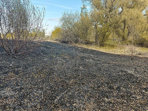 🔥Киян закликають не спалювати суху траву та листяІз настанням тепла частішають випадки, коли мешканці спалюють суху рослинніст... - КМДА – офіційний канал на we.ua