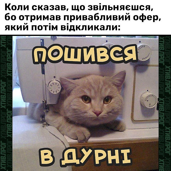 Безробітне посміховисько - Хтивий Програміст на we.ua