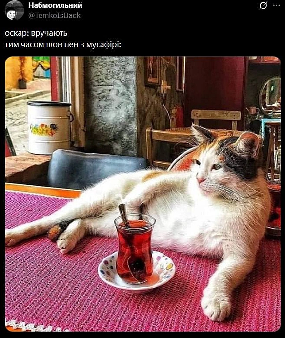 Баба і Кіт on we.ua