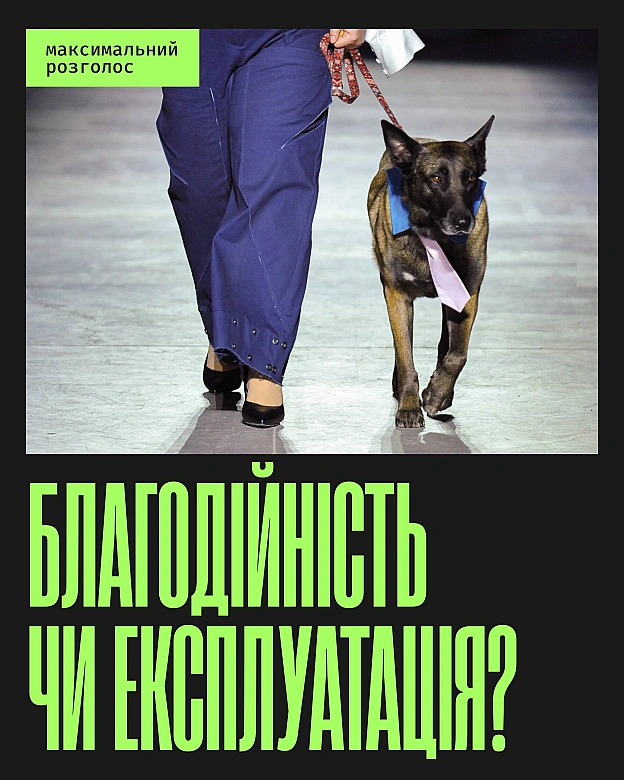 На показі дизайнерки Юлії Перекрьостової (JULIYA KROS) у межах Ukrainian Fashion Week на подіум вивели «службових» собак. Ідея... - Кожна тварина on we.ua