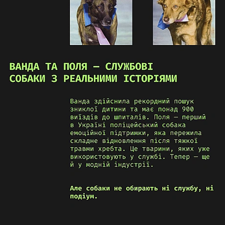 На показі дизайнерки Юлії Перекрьостової (JULIYA KROS) у межах Ukrainian Fashion Week на подіум вивели «службових» собак. Ідея... - Кожна тварина on we.ua