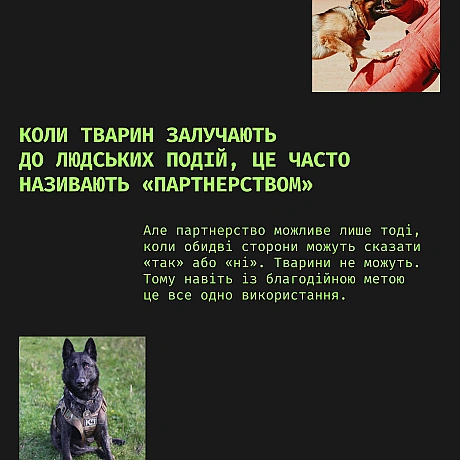 На показі дизайнерки Юлії Перекрьостової (JULIYA KROS) у межах Ukrainian Fashion Week на подіум вивели «службових» собак. Ідея... - Кожна тварина on we.ua