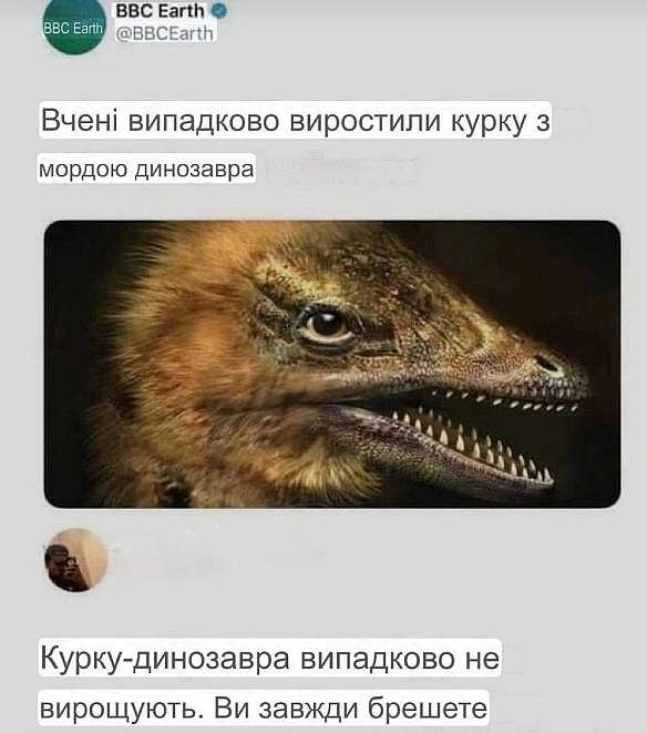 Баба і Кіт on we.ua