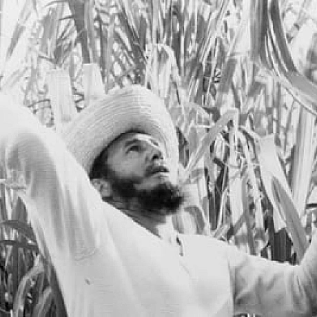 Куба, отдай наш хлеб! Куба, возьми свой сахар! Нам надоел твой косматый Фидель! Куба, иди ты на хер!(Куба, віддай наш хліб!... - WAS на we.ua