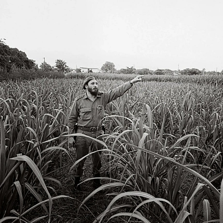 Куба, отдай наш хлеб! Куба, возьми свой сахар! Нам надоел твой косматый Фидель! Куба, иди ты на хер!(Куба, віддай наш хліб!... - WAS на we.ua