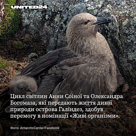 Українські полярники встановили рекорд на престижному науковому конкурсі WikiScience Contest. Дослідники вибороли одразу три пер... - UNITED24 на we.ua