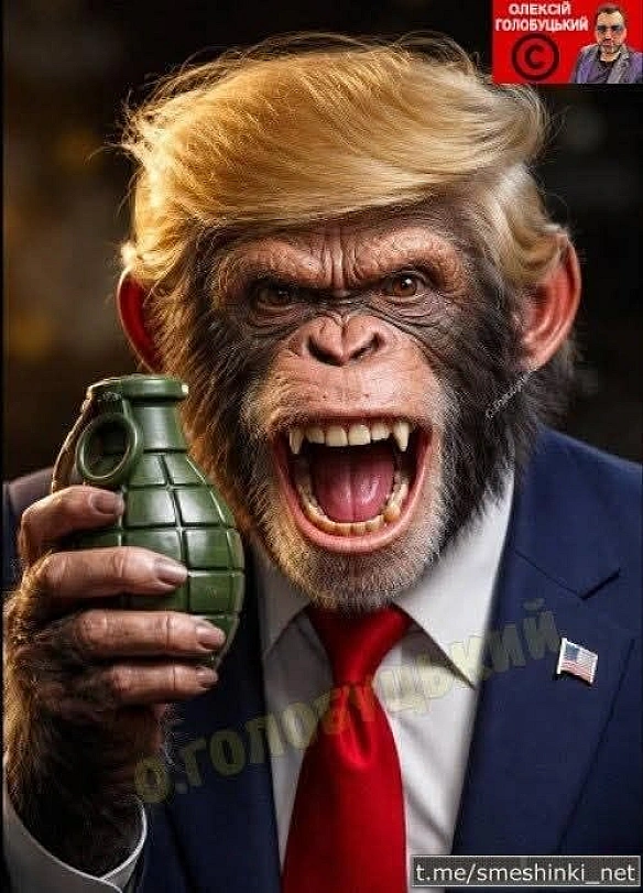 Переглянути нові  |  Надіслати своє - Воєнні Смішинки на we.ua