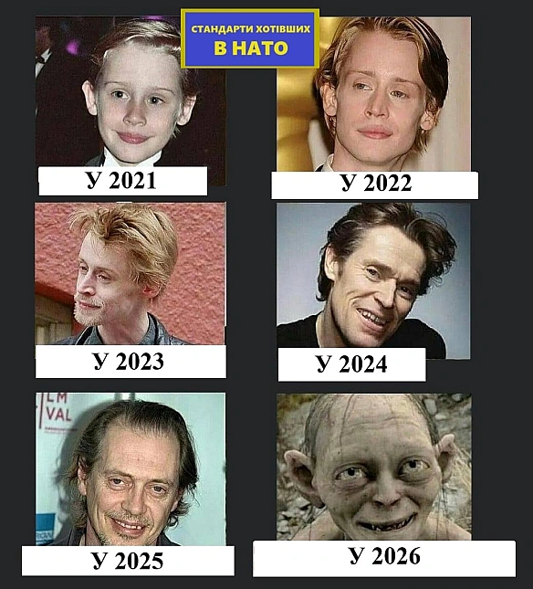 стандарти хотівших в НАТО на we.ua