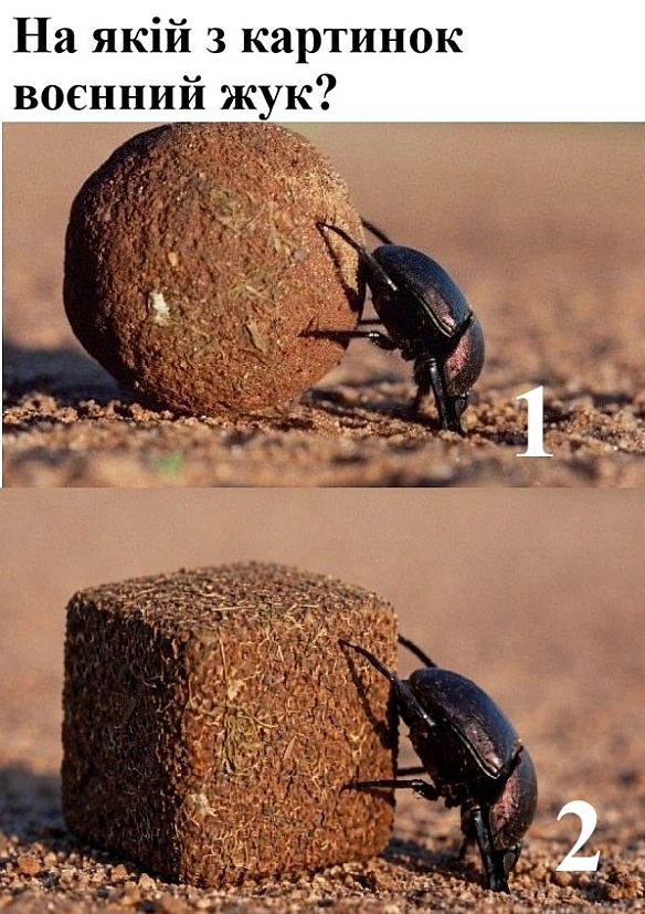 стандарти хотівших в НАТО на we.ua