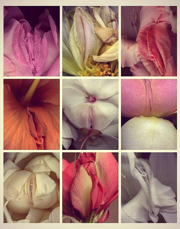 #фаптаймПєнсія, іди розсаду готуй! - Чорний гумор. Українською. #ЧГУ на we.ua