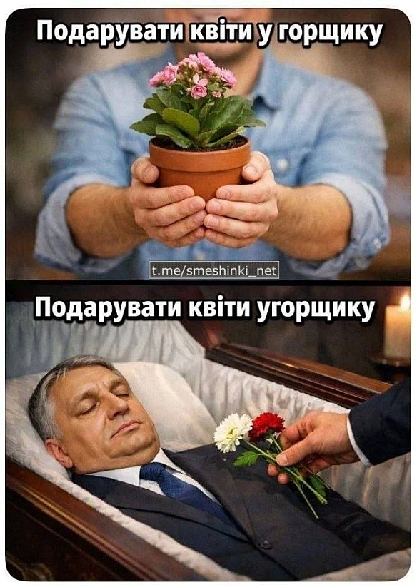 Переглянути нові  |  Надіслати своє - Воєнні Смішинки на we.ua