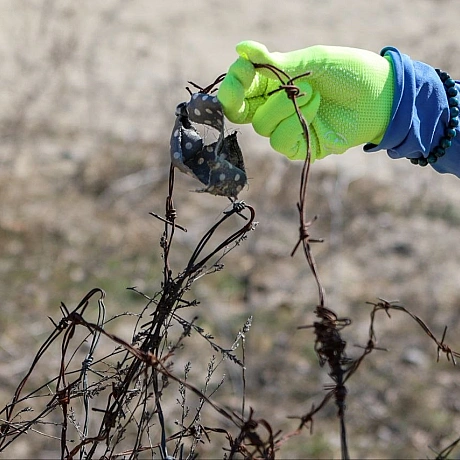 Репортер інформує на weua.dev