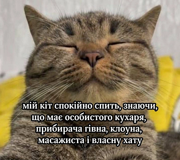 Ukrmemes mine problemes на we.ua