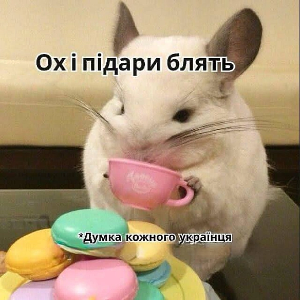 Ukrmemes mine problemes on we.ua