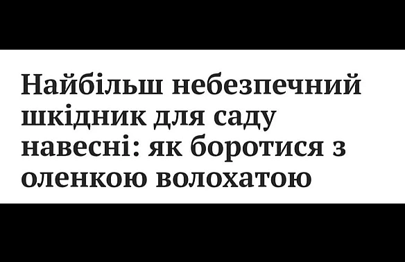Волохаті Оленки в чаті є? - Чорний гумор. Українською. #ЧГУ на we.ua