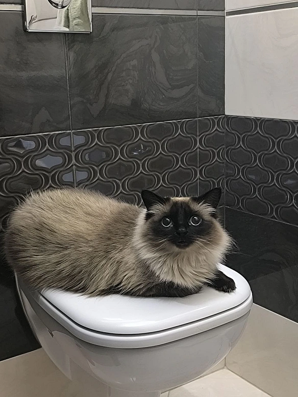 Трошки зайнято - Давай займемось текстом на weua.dev