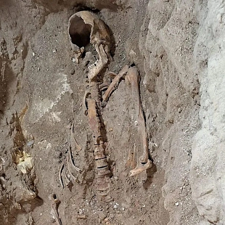 Знайшли останки д'Артаньяна?
У Нідерландах під підлогою церкви Святих Петра і Павла в Маастрихті знайшли людські останки, які а... - WAS на weua.dev