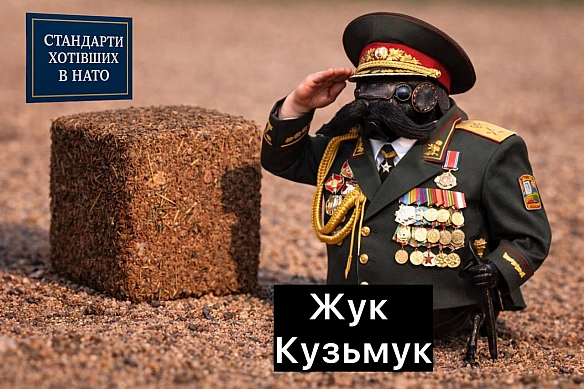 стандарти хотівших в НАТО on weua.dev