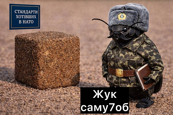 Ну і лєгєндарочка😅😅😅 - стандарти хотівших в НАТО on weua.dev