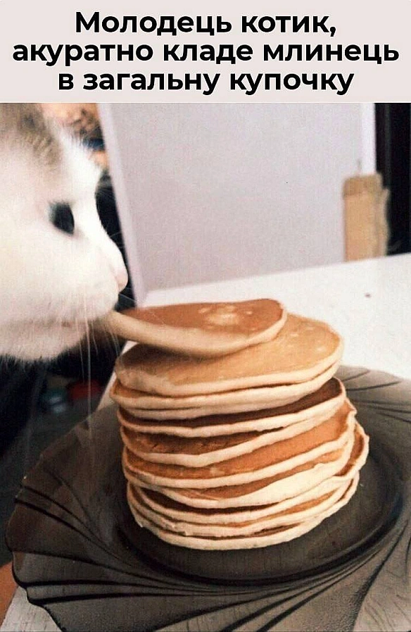 Ukrmemes mine problemes на weua.dev