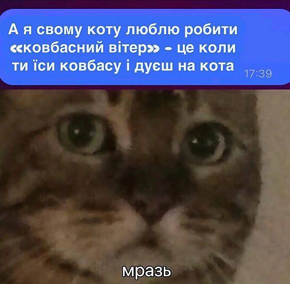 Куди дивляться зоозахисники?
#хзчиймем

@memargam - МЕМАГРАМ на weua.dev