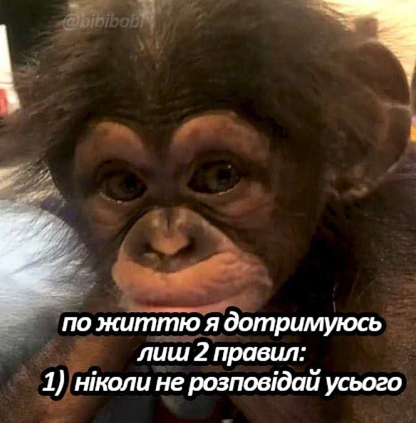 Ukrmemes mine problemes на weua.dev