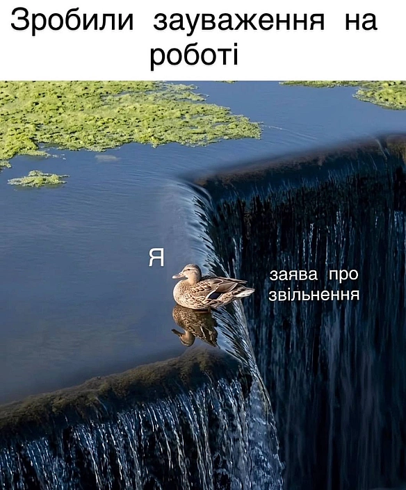 Баба і Кіт на weua.dev