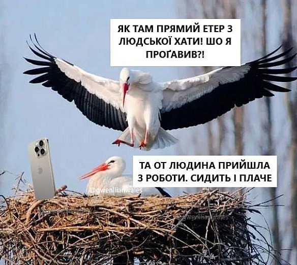 😭
(c) @gwenllianwales

@memargam - МЕМАГРАМ на weua.dev