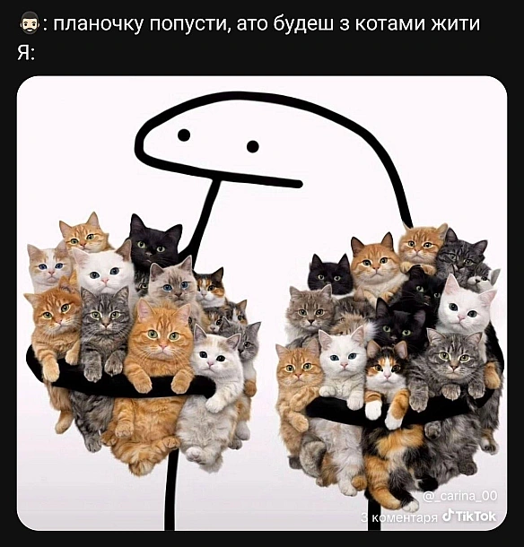 Баба і Кіт на weua.dev