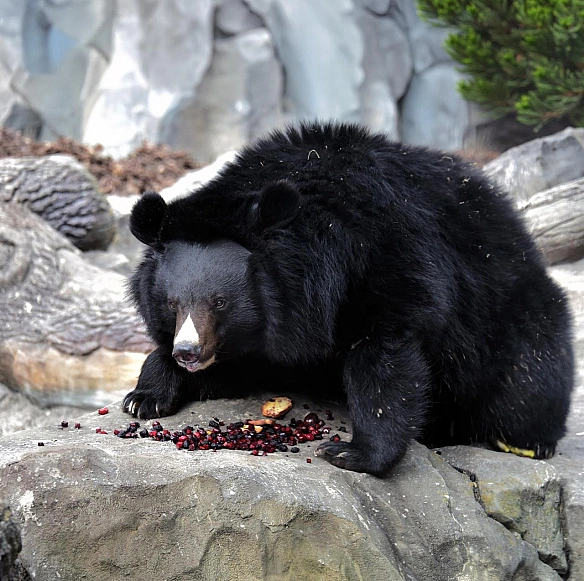 КМДА – офіційний канал on we.ua