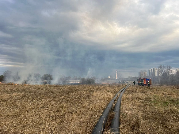 📢🔥Нагадуємо про заборону спалювання рослинності та попереджаємо про штрафи ❕Самовільне випалювання сухостою шкодить здоров'ю л... - КМДА – офіційний канал on we.ua