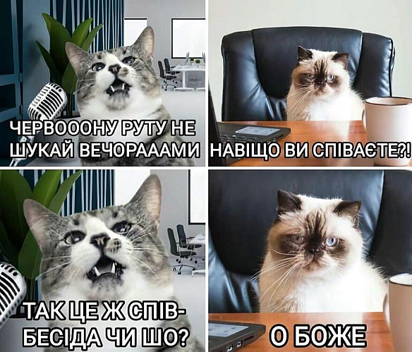 До того ж він ще й непоганий спів-розмовник як-не-як - on we.ua