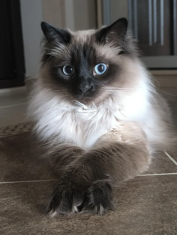 Урок фотогенічності - on we.ua