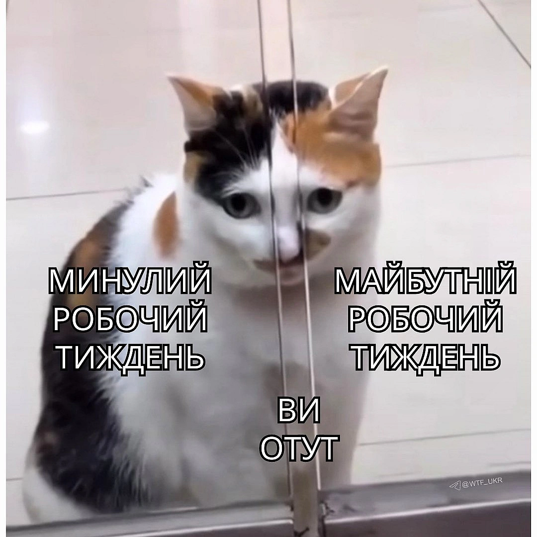 💀TG | X | FB | Instahttps://instagram.com/wtf_ukr/ - WTF! on we.ua