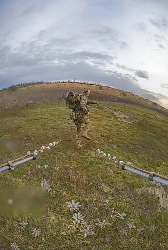 Не я б\'ю - верба б\'є! - on we.ua