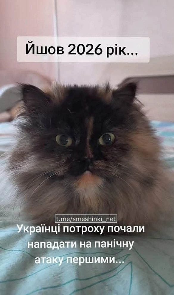 Переглянути нові  |  Надіслати своє - на we.ua