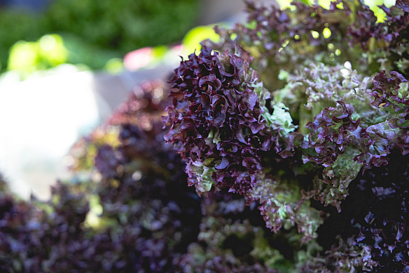 🧺У Києві із 7 до 11 квітня відбудуться продуктові сільськогосподарські ярмарки📍Локації – на сайті kyivcity.gov.ua.❕Закликаєм... - КМДА – офіційний канал on we.ua