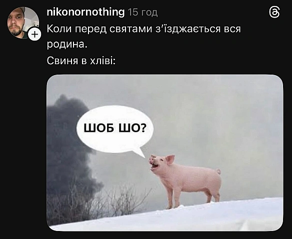 Баба і Кіт on we.ua