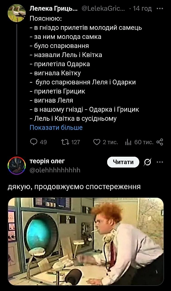 Баба і Кіт on we.ua