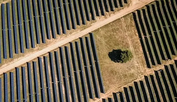 Залежність Європи від викопного палива створює ризики для цінової стабільностіСтаття у Financial Times Френка Елдерсона, члена ... - Ціна Держави on we.ua