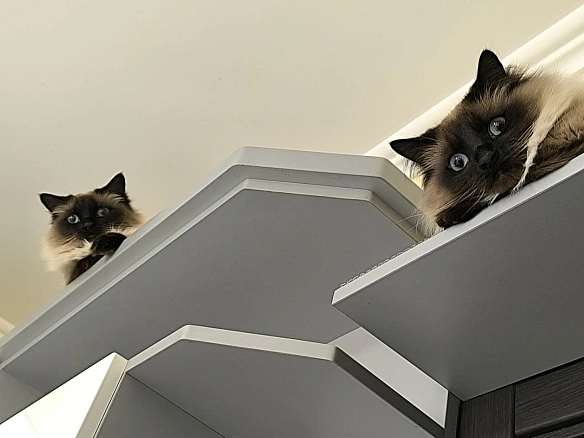 Зверхність - на we.ua