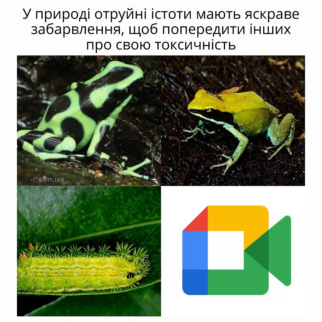 💀TG | X | FB | Instahttps://instagram.com/wtf_ukr/ - на we.ua