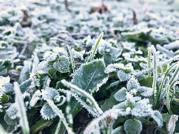 ❄️Уночі 9 квітня в Києві очікуються заморозки на поверхні ґрунту 0-2°, а уночі 10 та 11 квітня – заморозки в повітрі 0-3°⚠️9 к... - КМДА – офіційний канал on we.ua