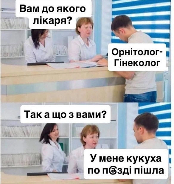 Баба і Кіт на we.ua